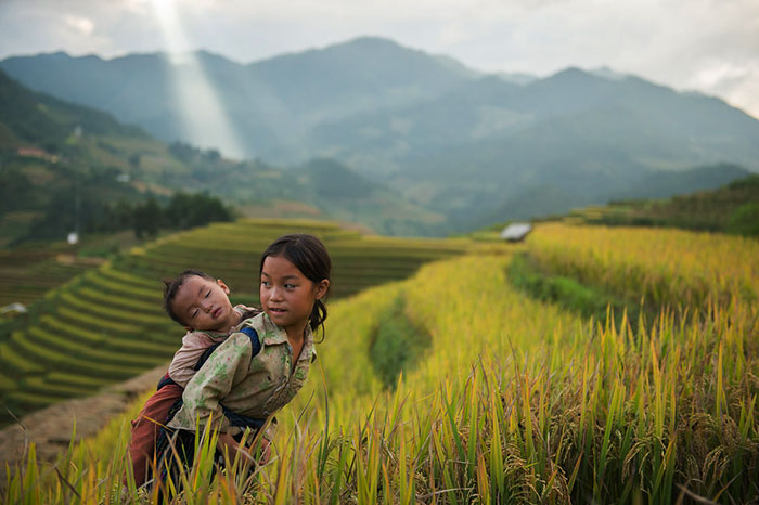 rizières terrasse vietnam Mu Cang Chai enfant